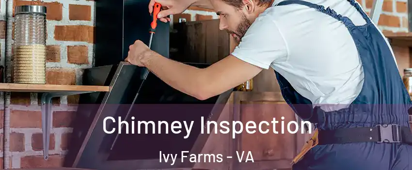 Chimney Inspection Ivy Farms - VA