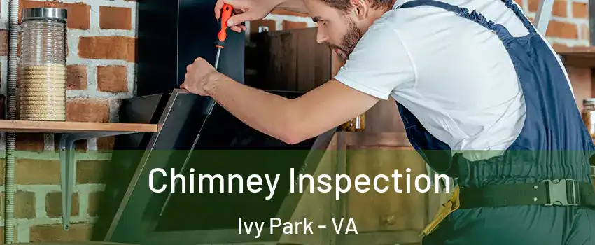 Chimney Inspection Ivy Park - VA