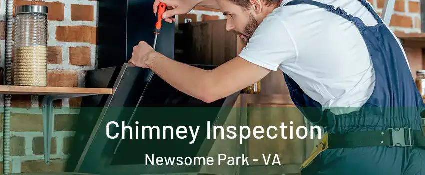 Chimney Inspection Newsome Park - VA
