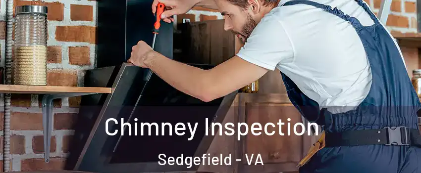 Chimney Inspection Sedgefield - VA