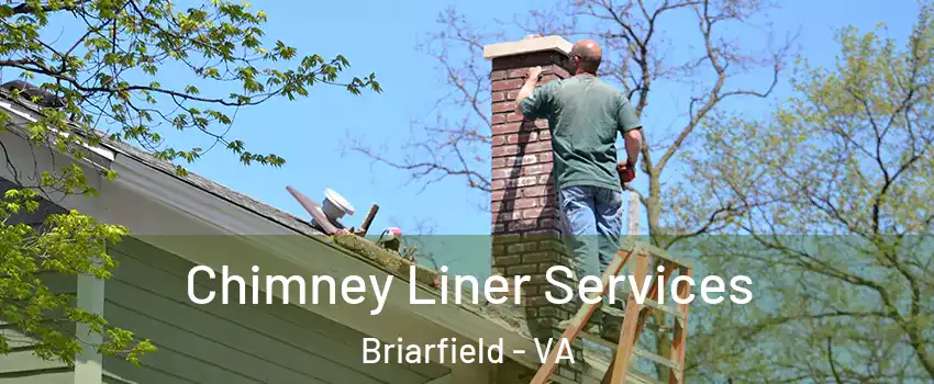 Chimney Liner Services Briarfield - VA