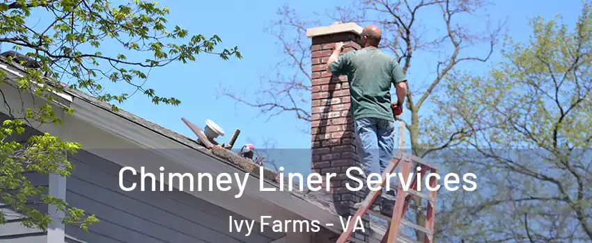 Chimney Liner Services Ivy Farms - VA