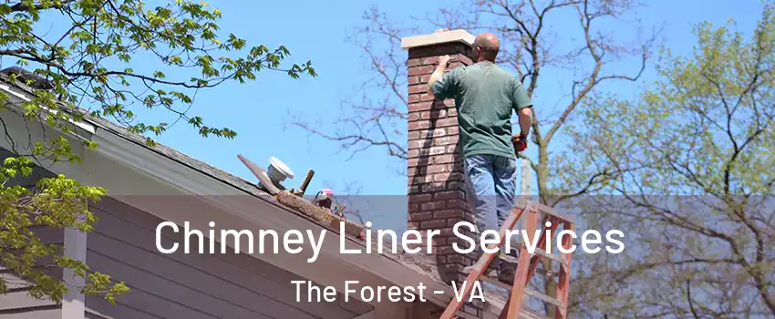Chimney Liner Services The Forest - VA