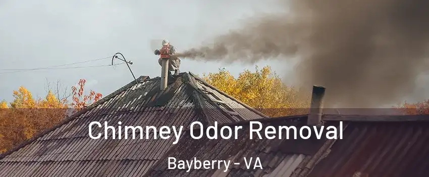 Chimney Odor Removal Bayberry - VA