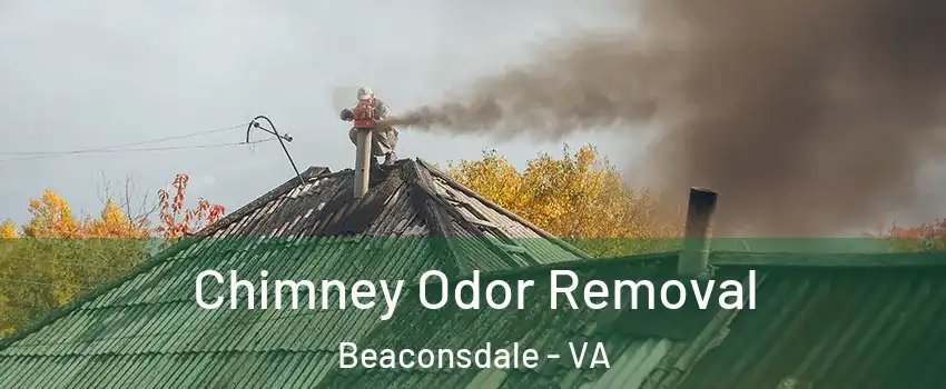 Chimney Odor Removal Beaconsdale - VA