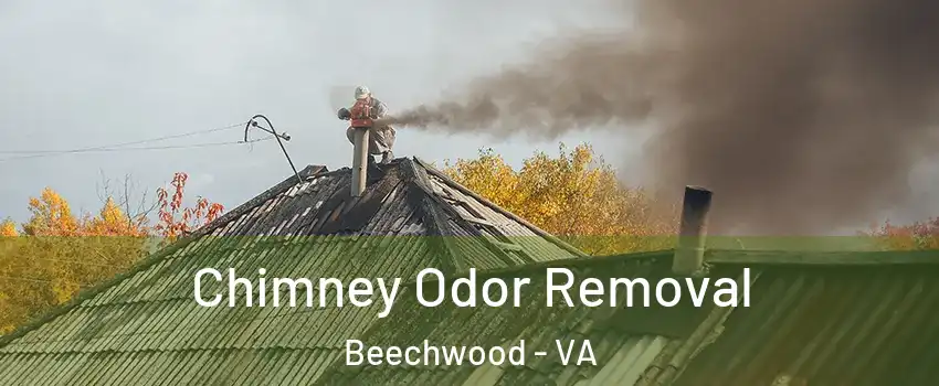 Chimney Odor Removal Beechwood - VA