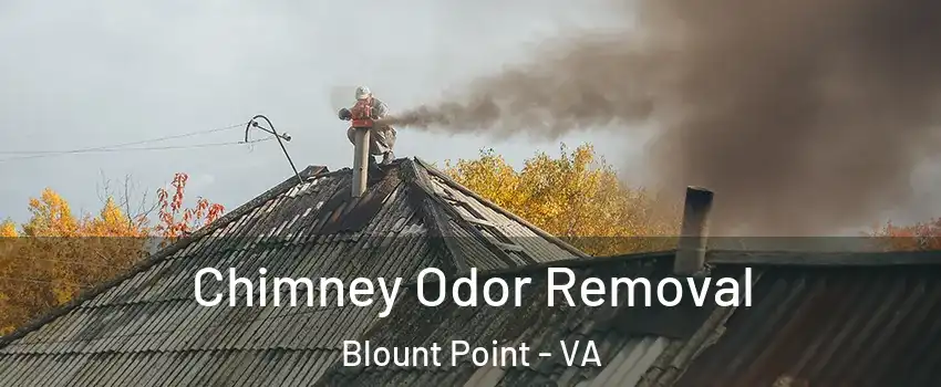 Chimney Odor Removal Blount Point - VA