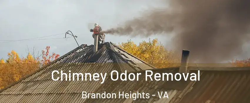 Chimney Odor Removal Brandon Heights - VA