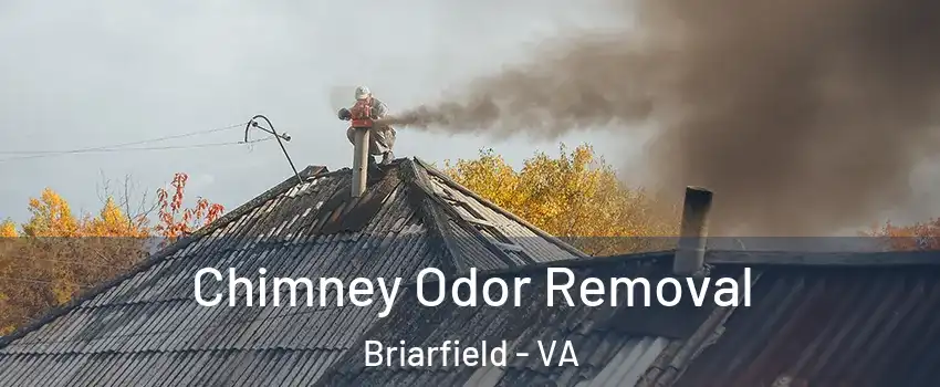 Chimney Odor Removal Briarfield - VA