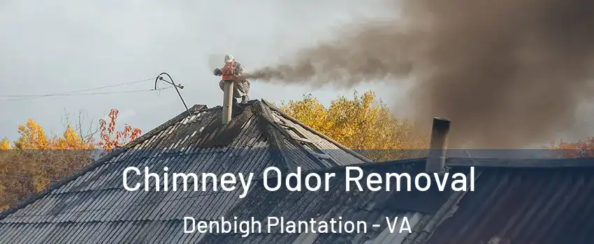 Chimney Odor Removal Denbigh Plantation - VA