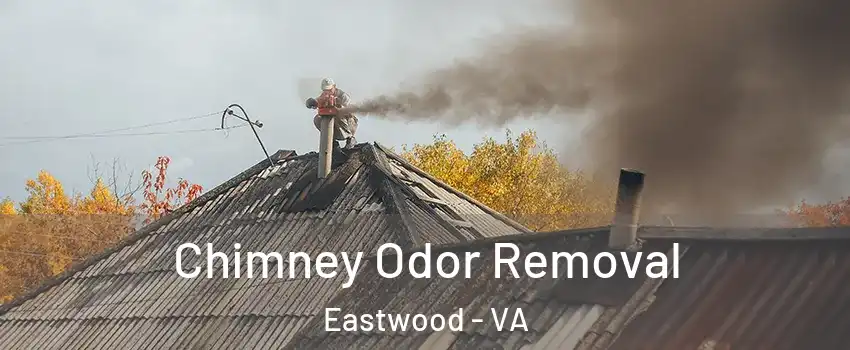Chimney Odor Removal Eastwood - VA