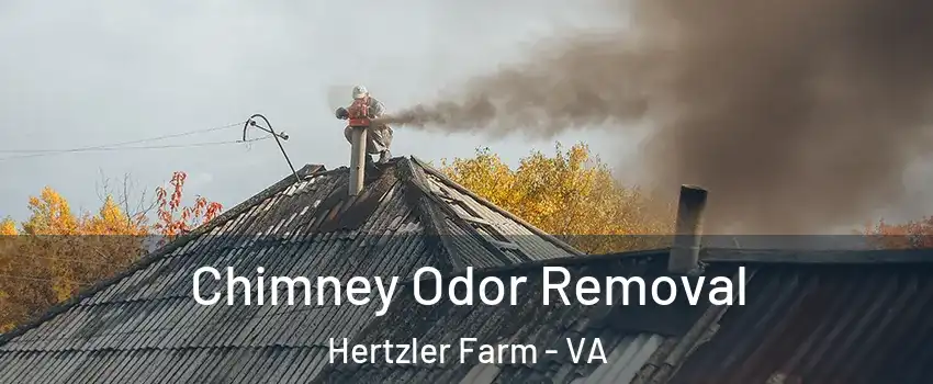 Chimney Odor Removal Hertzler Farm - VA