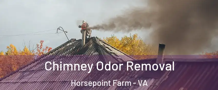 Chimney Odor Removal Horsepoint Farm - VA