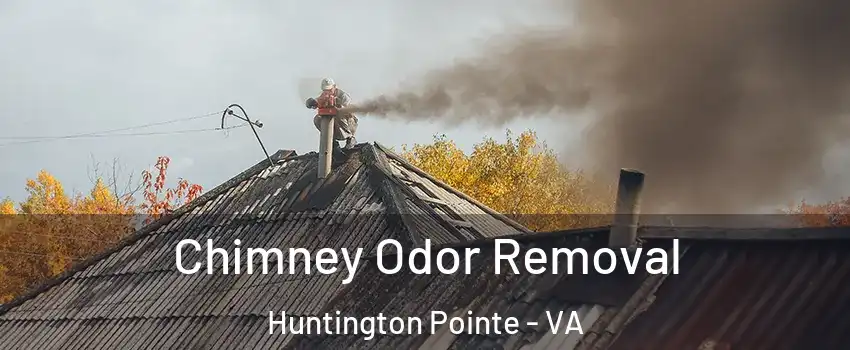Chimney Odor Removal Huntington Pointe - VA