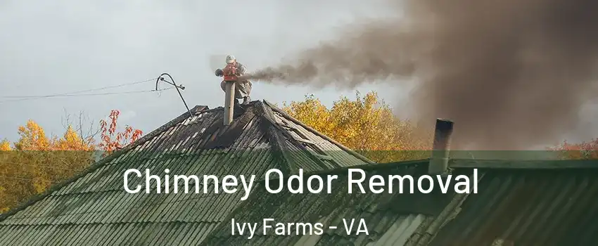 Chimney Odor Removal Ivy Farms - VA