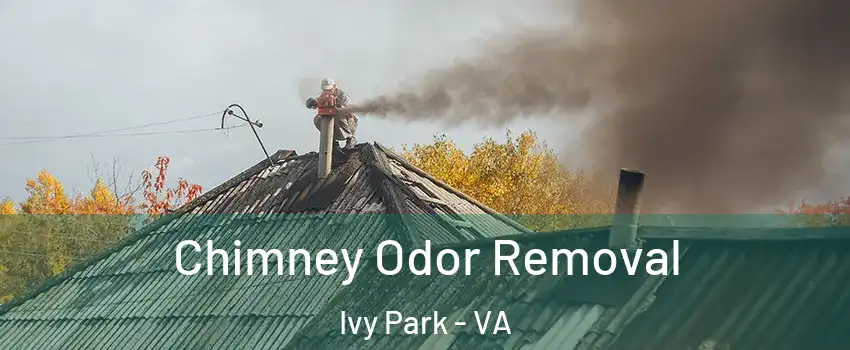 Chimney Odor Removal Ivy Park - VA