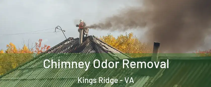 Chimney Odor Removal Kings Ridge - VA