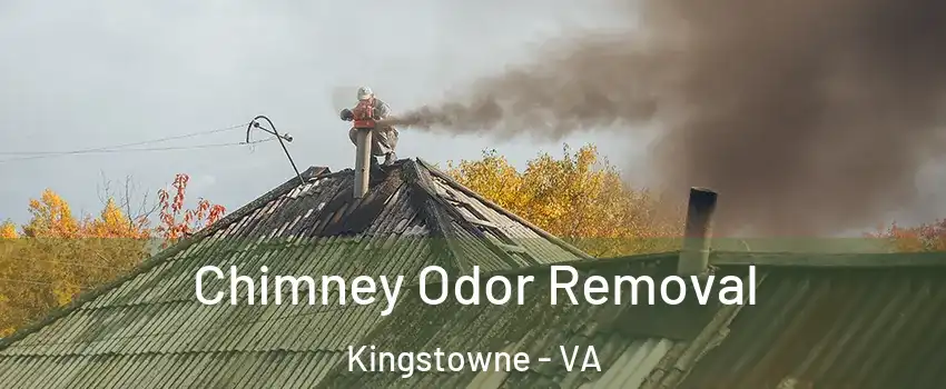 Chimney Odor Removal Kingstowne - VA