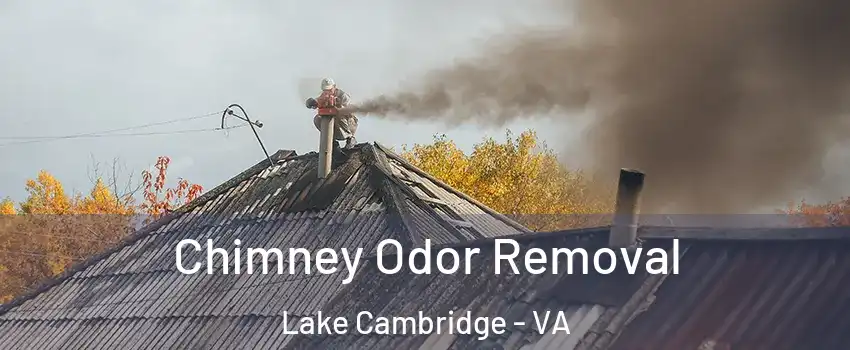 Chimney Odor Removal Lake Cambridge - VA