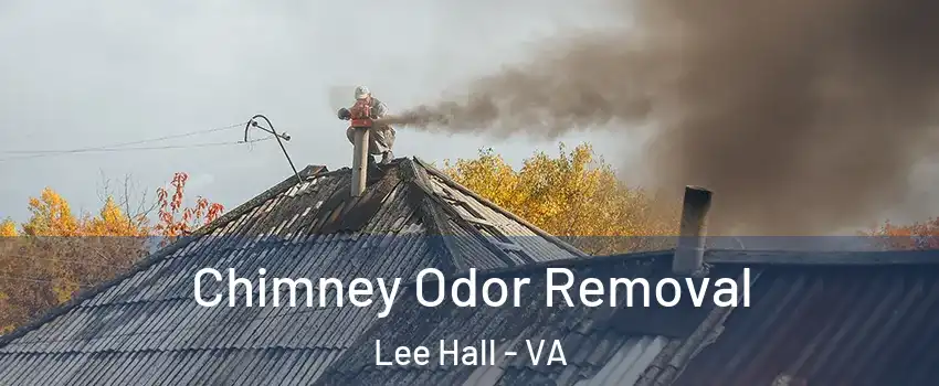 Chimney Odor Removal Lee Hall - VA