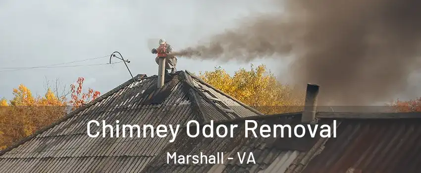 Chimney Odor Removal Marshall - VA