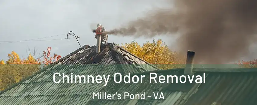 Chimney Odor Removal Miller's Pond - VA
