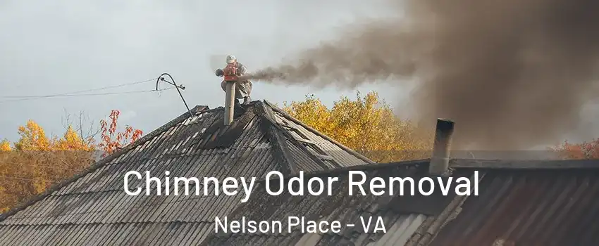 Chimney Odor Removal Nelson Place - VA