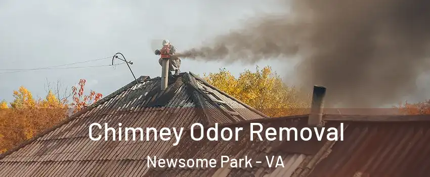 Chimney Odor Removal Newsome Park - VA
