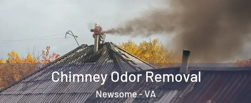 Chimney Odor Removal Newsome - VA
