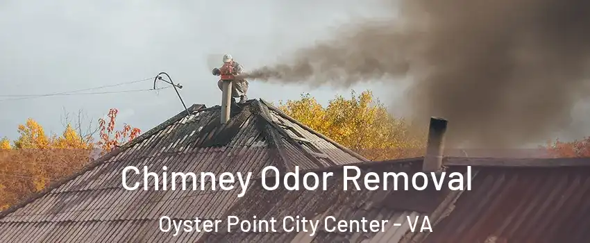 Chimney Odor Removal Oyster Point City Center - VA