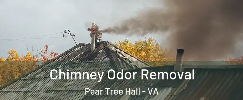 Chimney Odor Removal Pear Tree Hall - VA
