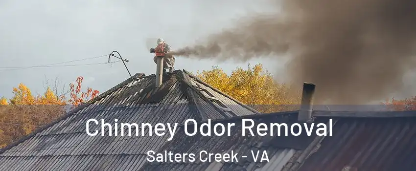Chimney Odor Removal Salters Creek - VA