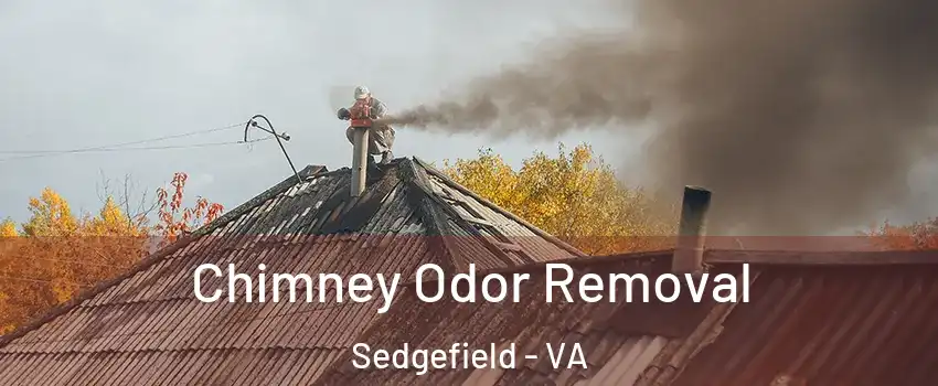 Chimney Odor Removal Sedgefield - VA