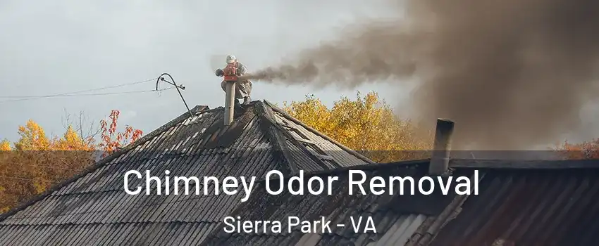 Chimney Odor Removal Sierra Park - VA
