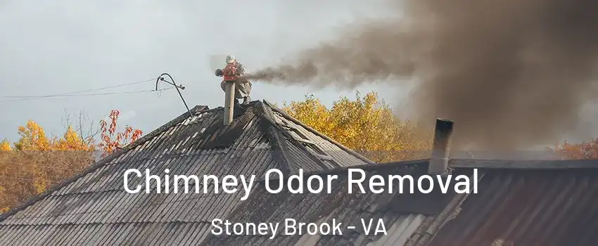 Chimney Odor Removal Stoney Brook - VA