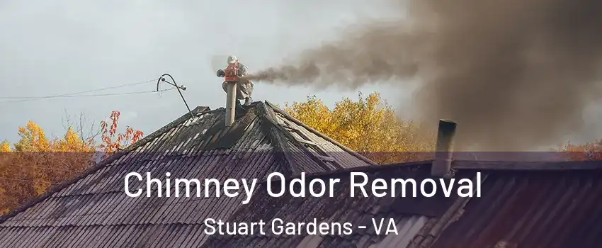 Chimney Odor Removal Stuart Gardens - VA