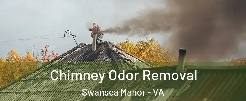 Chimney Odor Removal Swansea Manor - VA