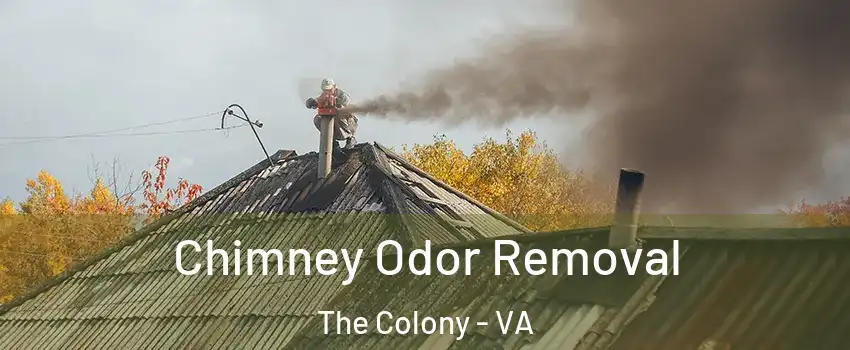 Chimney Odor Removal The Colony - VA