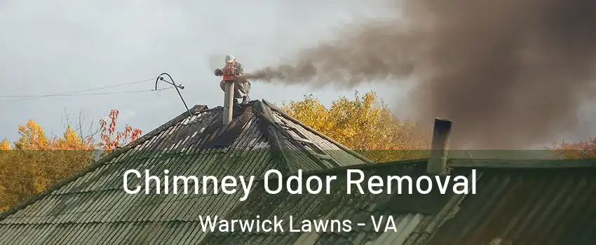 Chimney Odor Removal Warwick Lawns - VA