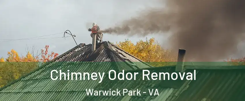 Chimney Odor Removal Warwick Park - VA