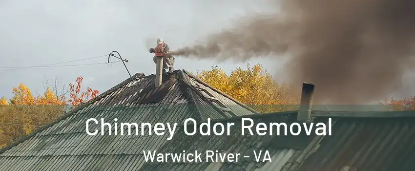 Chimney Odor Removal Warwick River - VA