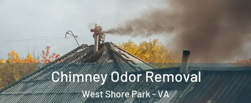 Chimney Odor Removal West Shore Park - VA