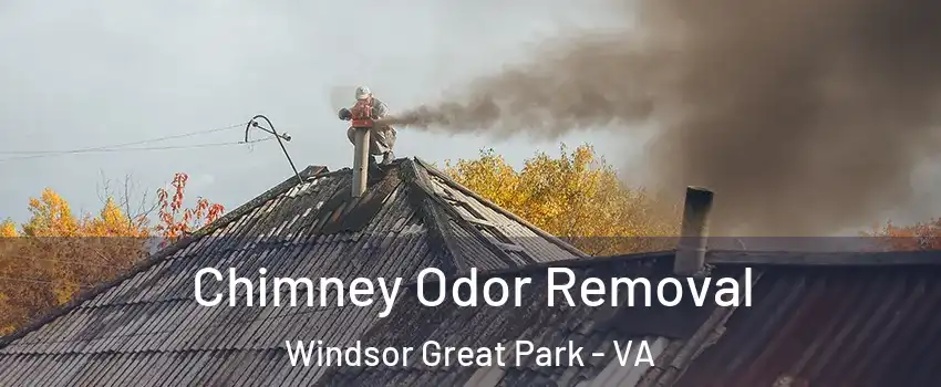 Chimney Odor Removal Windsor Great Park - VA