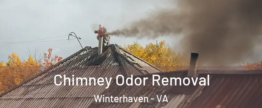 Chimney Odor Removal Winterhaven - VA