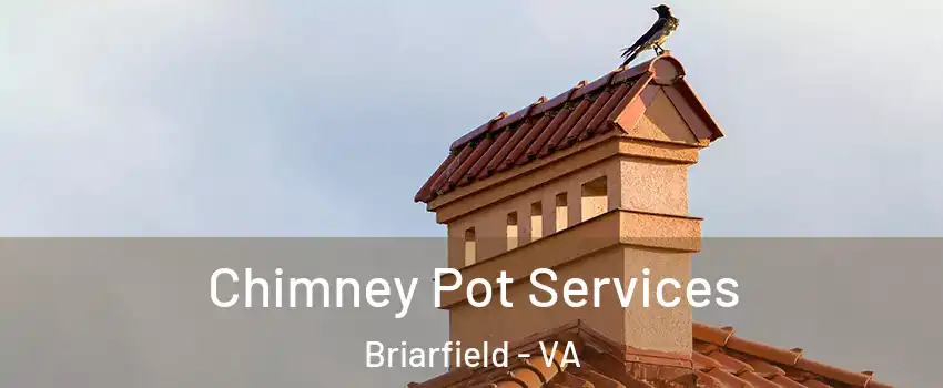 Chimney Pot Services Briarfield - VA