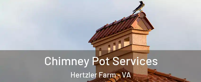 Chimney Pot Services Hertzler Farm - VA