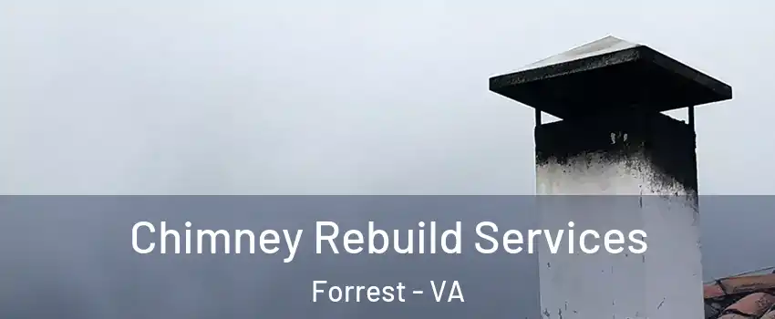 Chimney Rebuild Services Forrest - VA