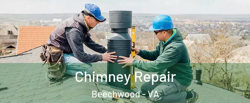 Chimney Repair Beechwood - VA
