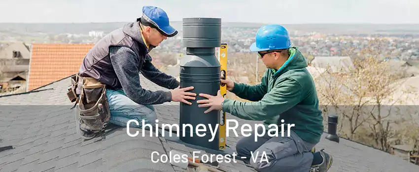 Chimney Repair Coles Forest - VA