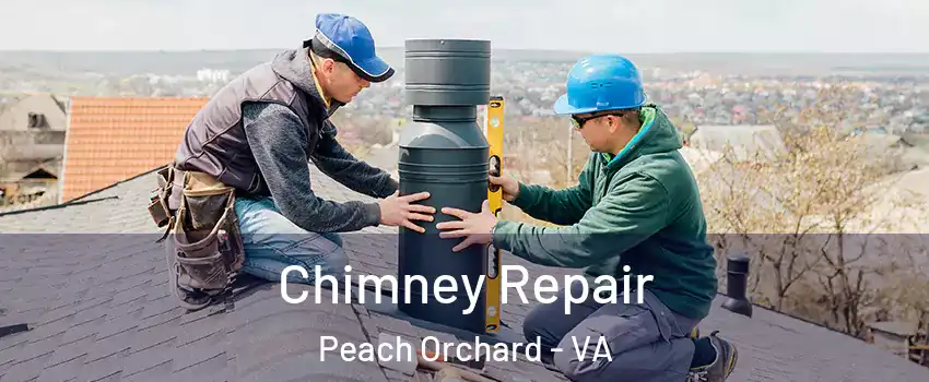 Chimney Repair Peach Orchard - VA
